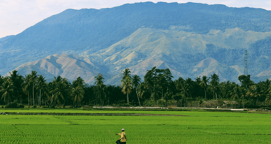 Indonesia eVisa application process